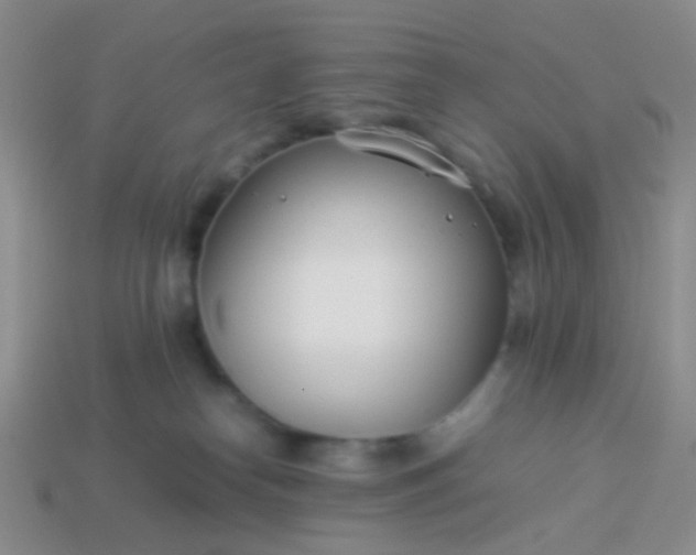 X0000114010182200910161742