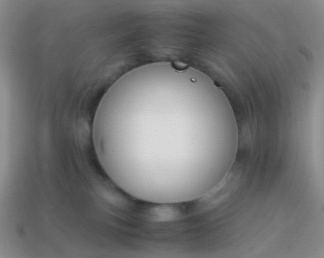 X0000114010183200910161742