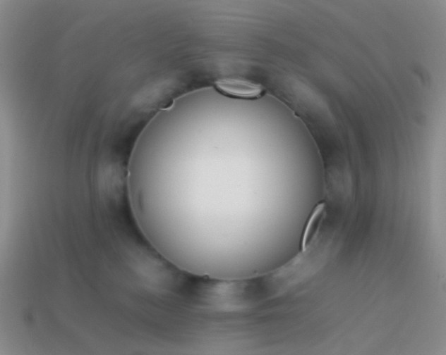 X0000114010184200910161742