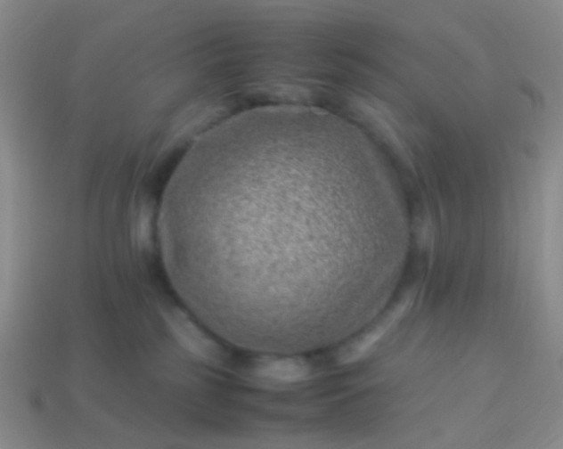 X0000114010185200910161742