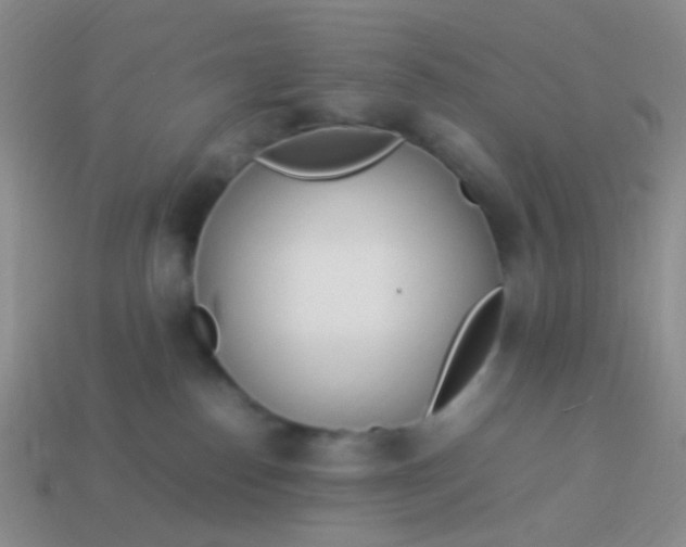 X0000114010186200910161742