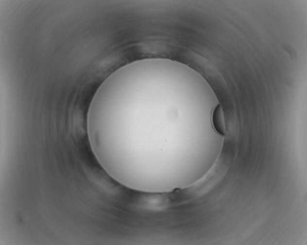 X0000114010187200910161742