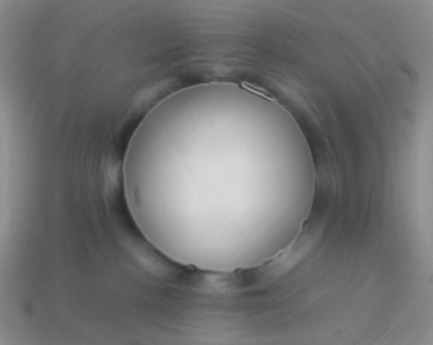 X0000114010188200910161742