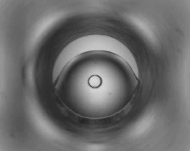 X0000114010189200910161742