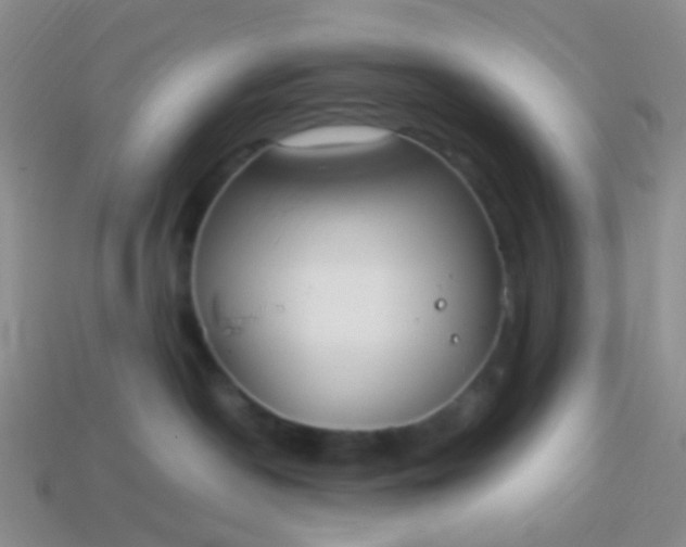 X0000114010190200910161742