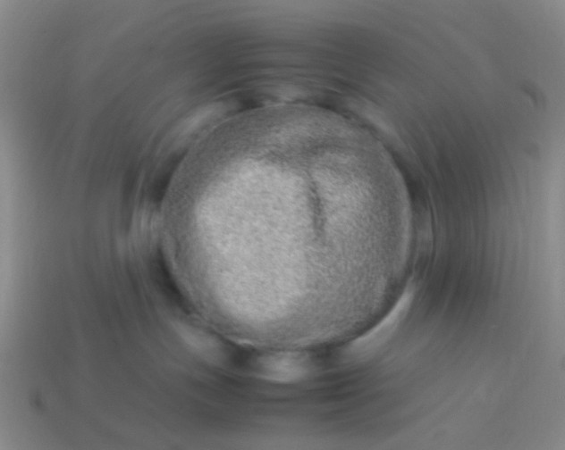 X0000114010191200910161742