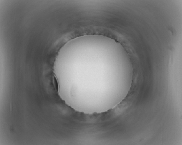 X0000114010192200910161742