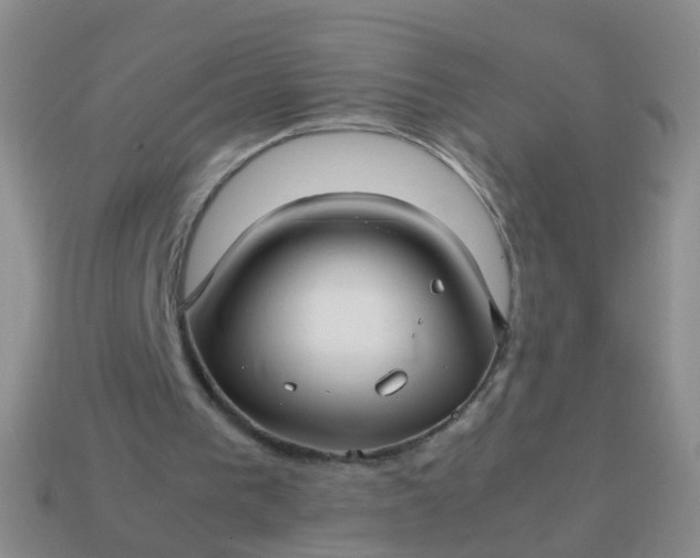 X0000114010193200910161741