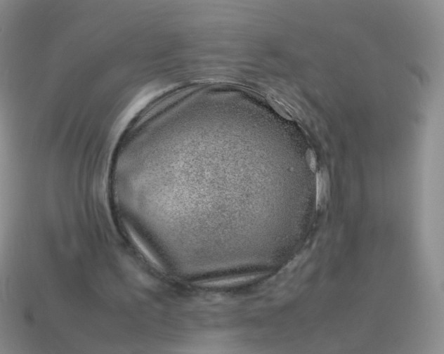 X0000114010195200910161741