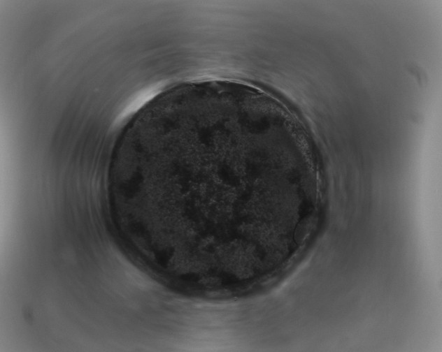 X0000114010196200910161741