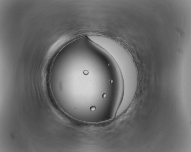 X0000114010197200910161741