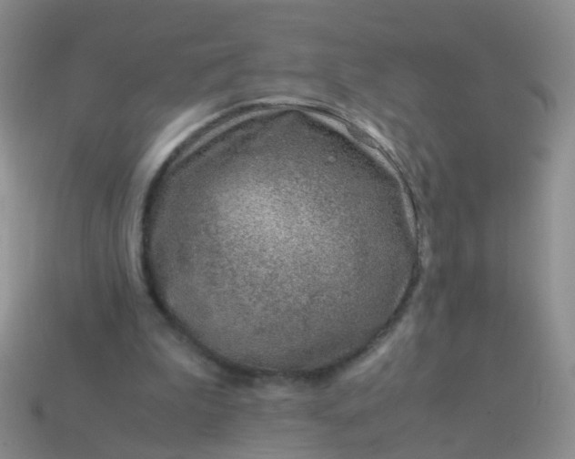 X0000114010199200910161741