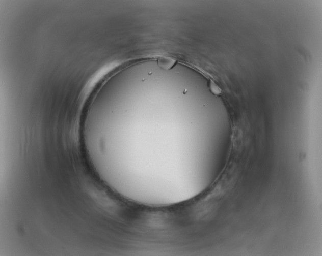 X0000114010200200910161741