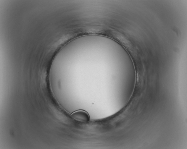 X0000114010201200910161741