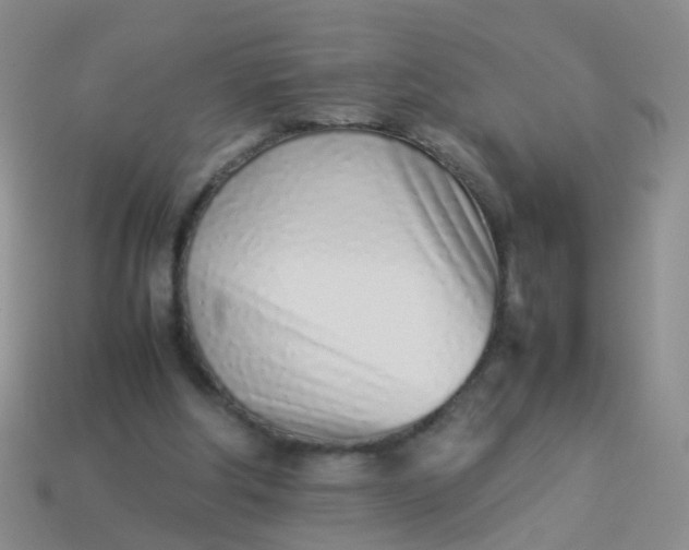 X0000114010202200910161741