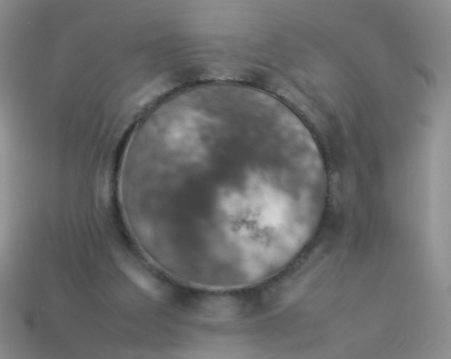 X0000114010203200910161741