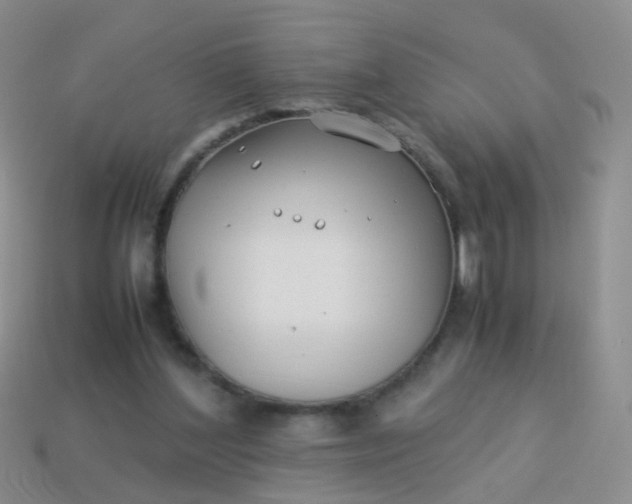 X0000114010204200910161741