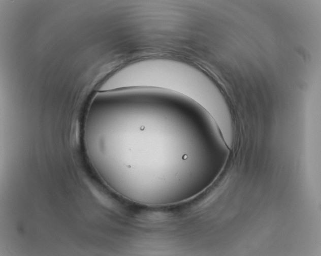 X0000114010205200910161741