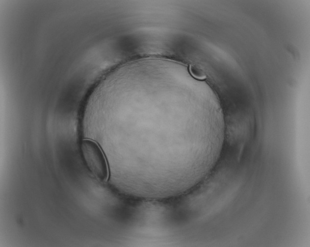 X0000114010207200910161741