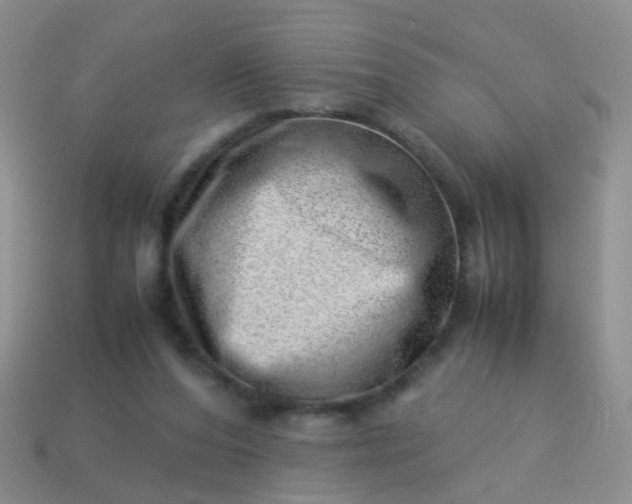 X0000114010208200910161741