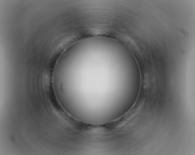 X0000114010210200910161741