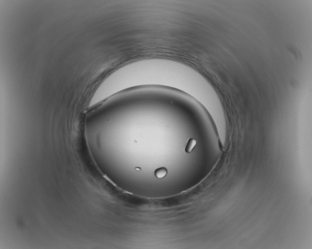 X0000114010211200910161741