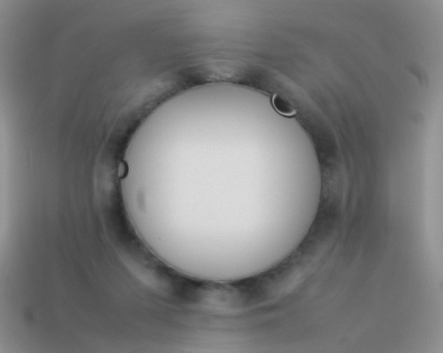 X0000114010215200910161741