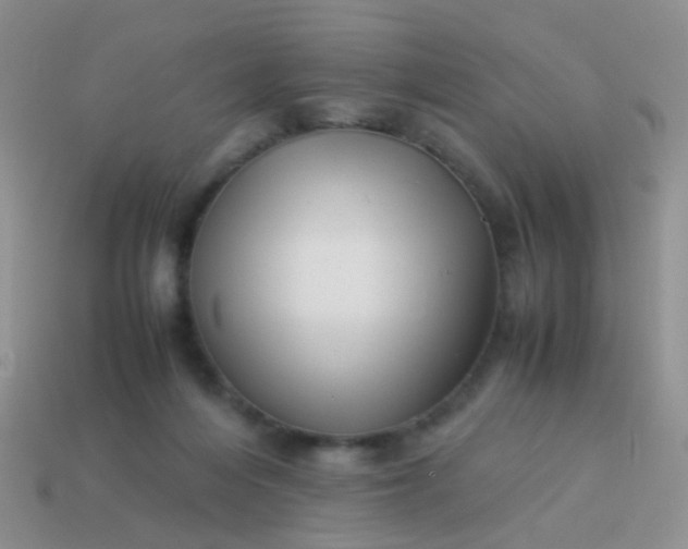 X0000114010216200910161741