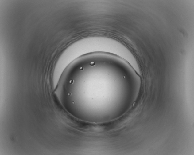 X0000114010217200910161741