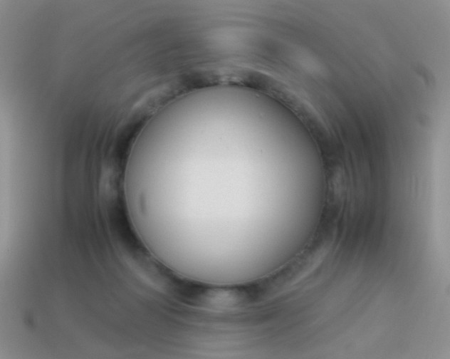 X0000114010218200910161741