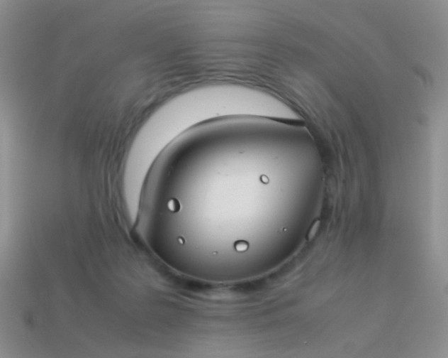 X0000114010219200910161741