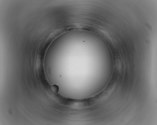 X0000114010220200910161741