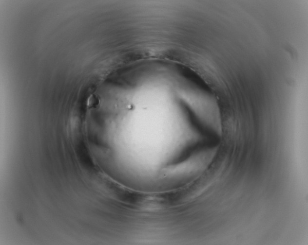 X0000114010222200910161741