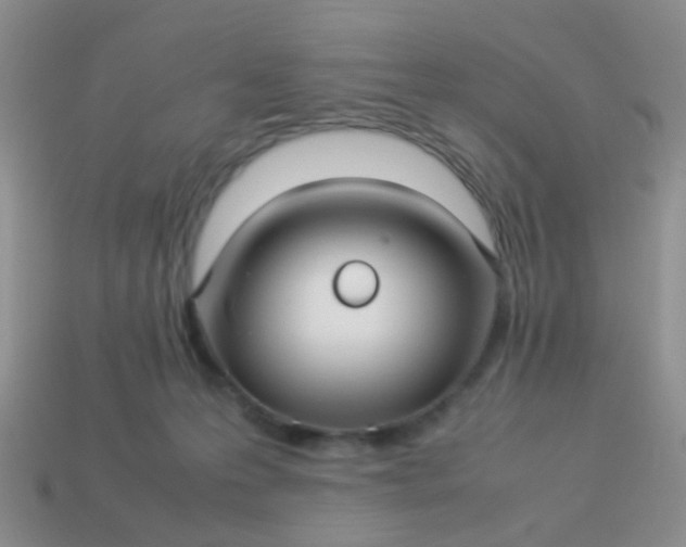 X0000114010223200910161741