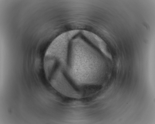 X0000114010224200910161741