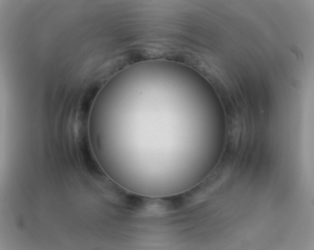 X0000114010226200910161741