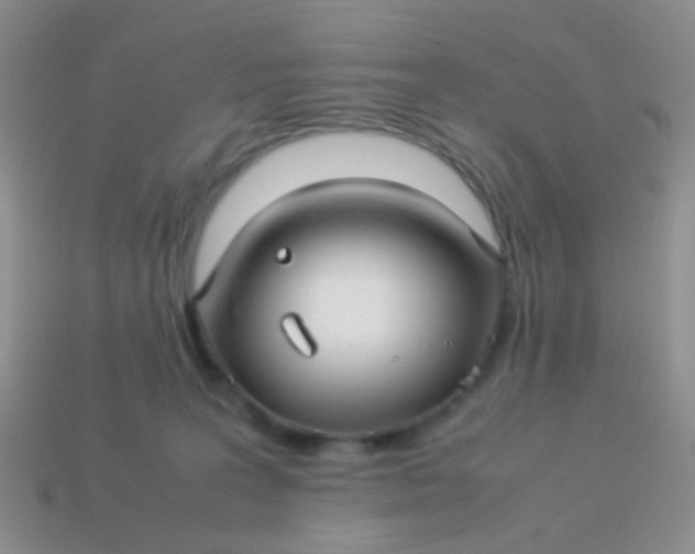 X0000114010227200910161741