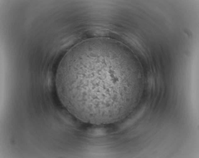 X0000114010228200910161741