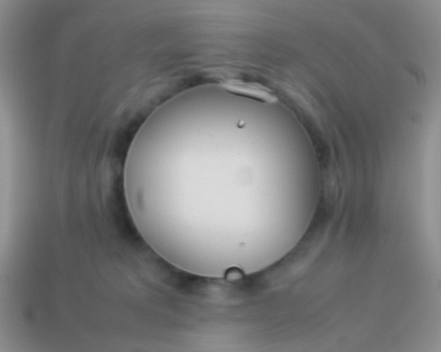 X0000114010229200910161741