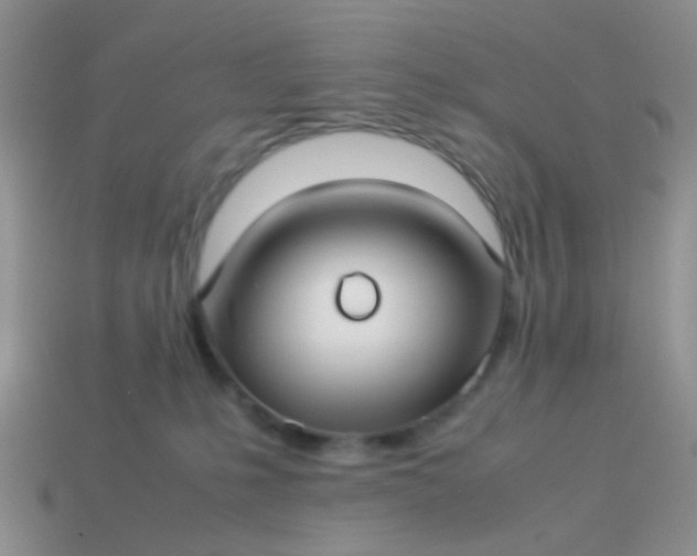 X0000114010231200910161741