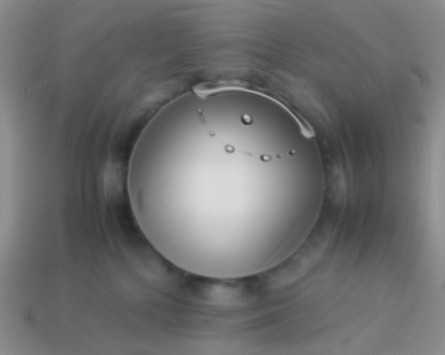 X0000114010232200910161741