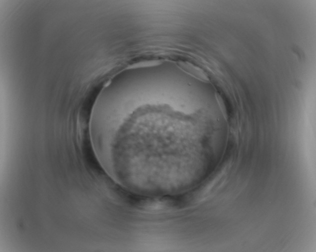 X0000114010235200910161741