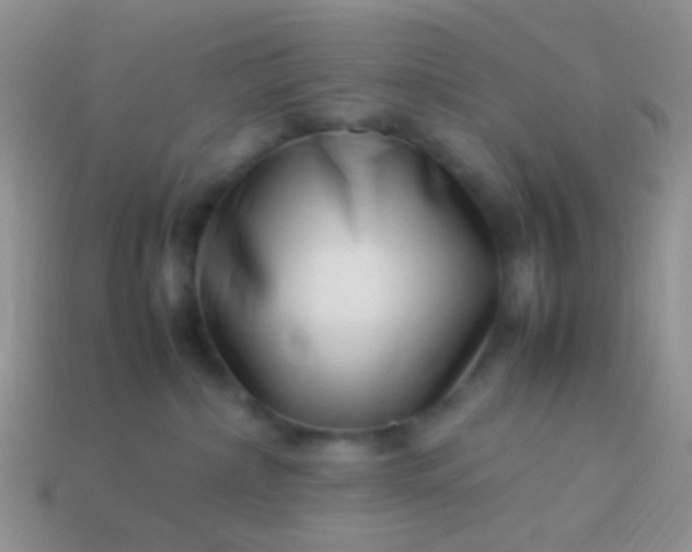 X0000114010236200910161741