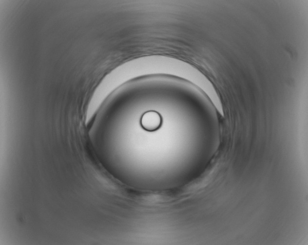 X0000114010237200910161741