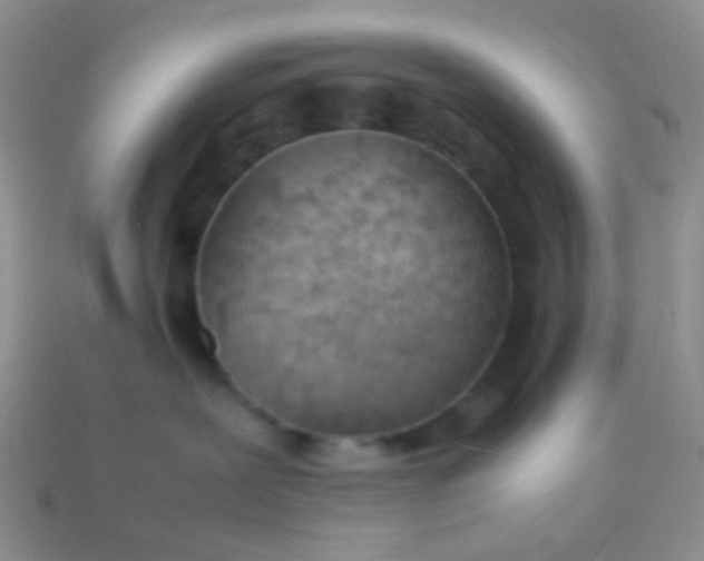 X0000114010239200910161740