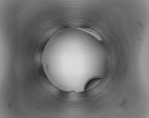 X0000114010240200910161740