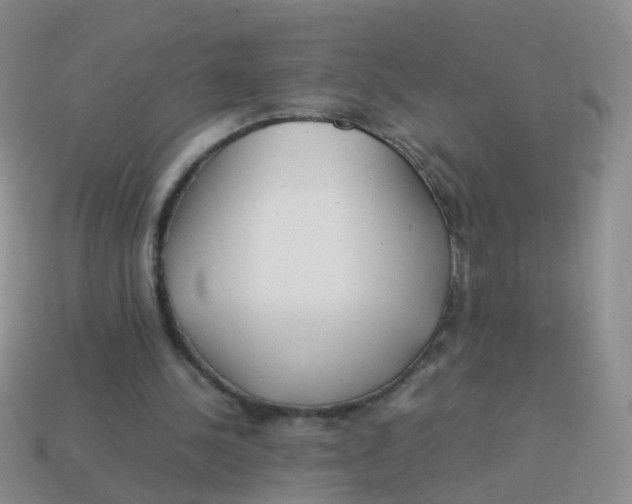 X0000114010244200910161740