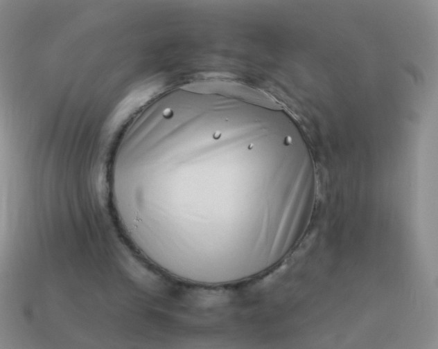 X0000114010245200910161740