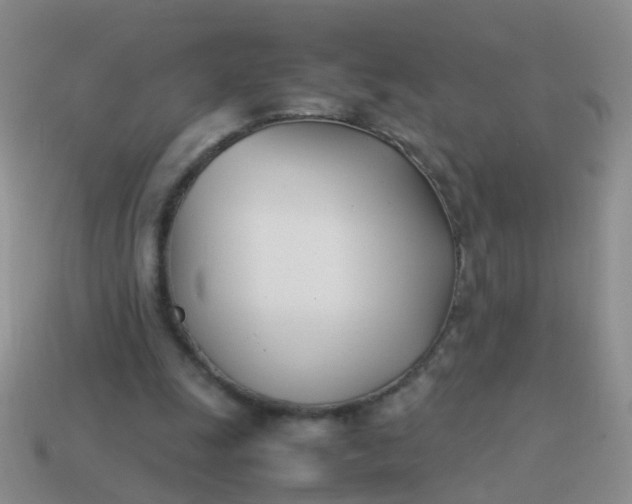 X0000114010247200910161740