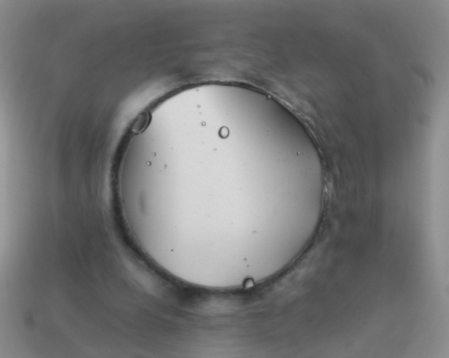 X0000114010248200910161740